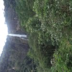 Diyaluma Falls Inn Diyaluma Falls Inn