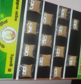 Lakjaya Seeds Production