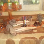 Amla Coconut Shell Creation