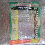 Thilina Rice Production