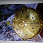 DINISHIKA JEWELERY MANUFACTURES