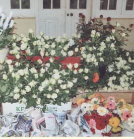 MALSHA ROSES