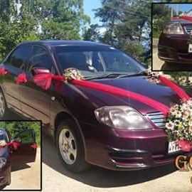 GOLDEN CAR RENTALS