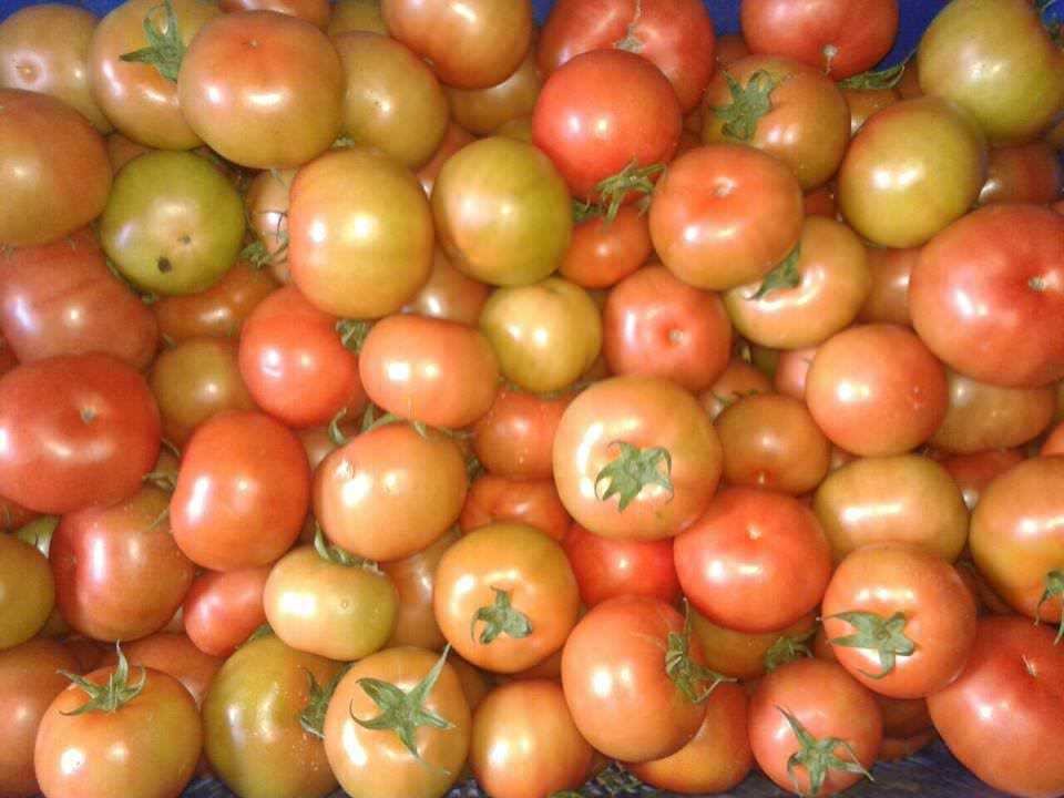 Danuli Fresh Vegetables Supplier Uva Products