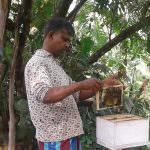 Uva Bee’s Products