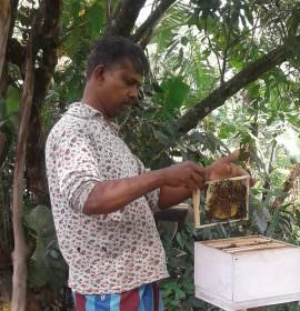 Uva Bee’s Products