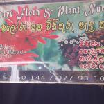Vimandee Flora &  Plant Nursery