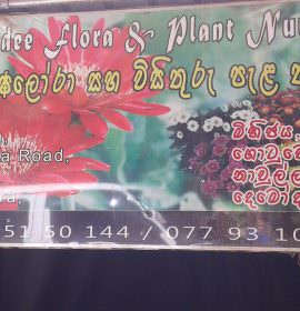Vimandee Flora &  Plant Nursery