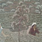 Hanska Wood Art & Flora