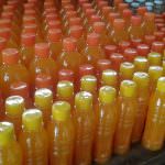 Shamin Lanka Fruit Product