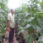 JAYASHAN TANNEL