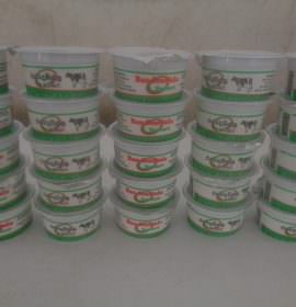 RANDENIGALA YOGURT