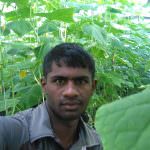 Tharindu Green House Products