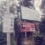 WEERASINGHA MOTORS