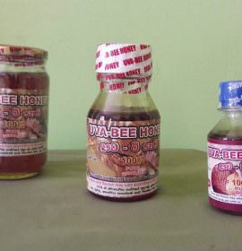 UVA BEE HONEY INDUSTRIES (PVT) LTD