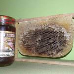 UVA BEE HONEY INDUSTRIES (PVT) LTD