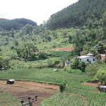 Diyathalawa Holiday Home