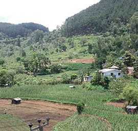 Diyathalawa Holiday Home