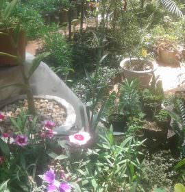 Visithuru Flower Nursery