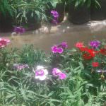 Visithuru Flower Nursery