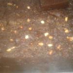Sampath Kalu Dodol