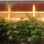 Navodha Rest