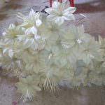 Sadeesha Palm Leaf Ornaments