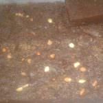 Ruhunu Kalu Dodol