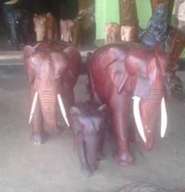 Rathnayake Creation