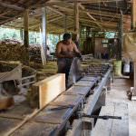 Bandula Furniture Bandula Furniture