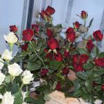 Dewmi Rosses