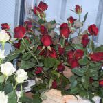 Dewmi Rosses