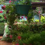 Nilmini Flower Nursery