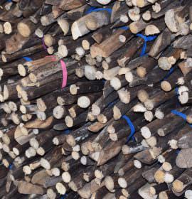 Wasantha Cinnamon Production
