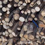 Wasantha Cinnamon Production