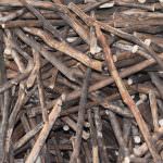 Wasantha Cinnamon Production