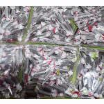 Sampath Quality Product Sampath Quality Product