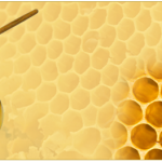 Dewumini Bee-Honey Products Dewumini Bee-Honey Products