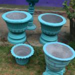 Srimali  flower  pot