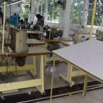 DINU APPAREL