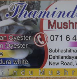 THAVINDU MUSHROOM PRODUCTIONS