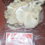 SALITHA MUSHROOM PRODUCTIONS