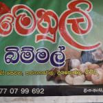 Menuli  mushroom