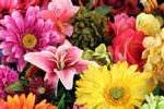 SASHINI ARTIFICIAL FLOWERS