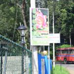 GREEN VALLY NURSERY