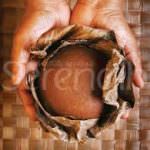 ප්‍රේමදාස උක් හකුරු