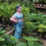 Ranga plant nursery