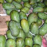 Suranga Farm