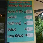 බොරලන්ද සත්ව ගොවිපල