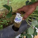 සමනල ෆාම්